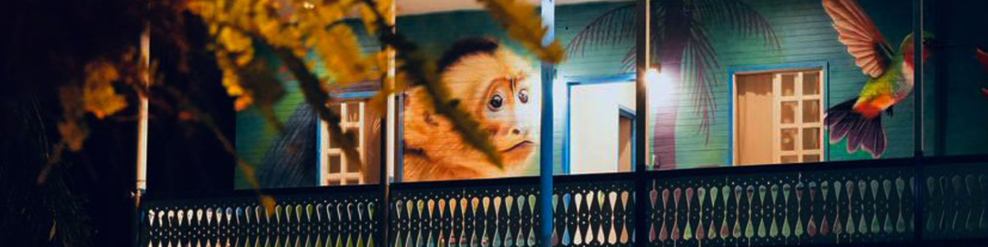 Agapi Beach Front Hotel Puerto Viejo Limon