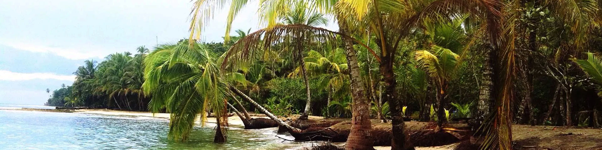 Agapi Beach Front Hotel Puerto Viejo Limon