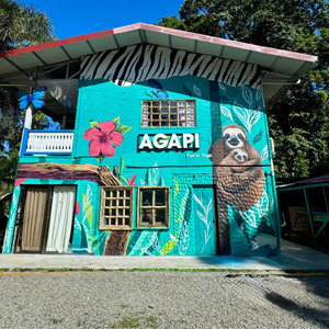 Agapi Beach Front Hotel Puerto Viejo Limon